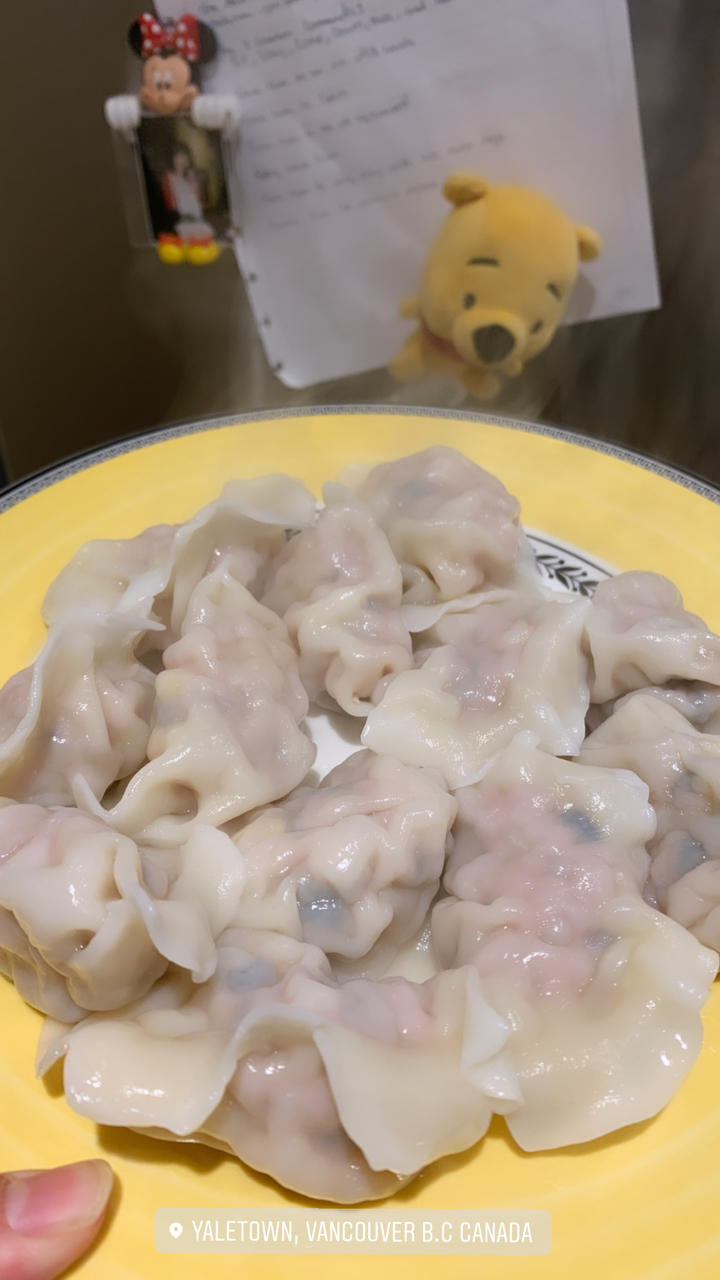 包子饺子万能基底肉馅