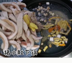 猪小肚祛湿健脾汤的做法 步骤5