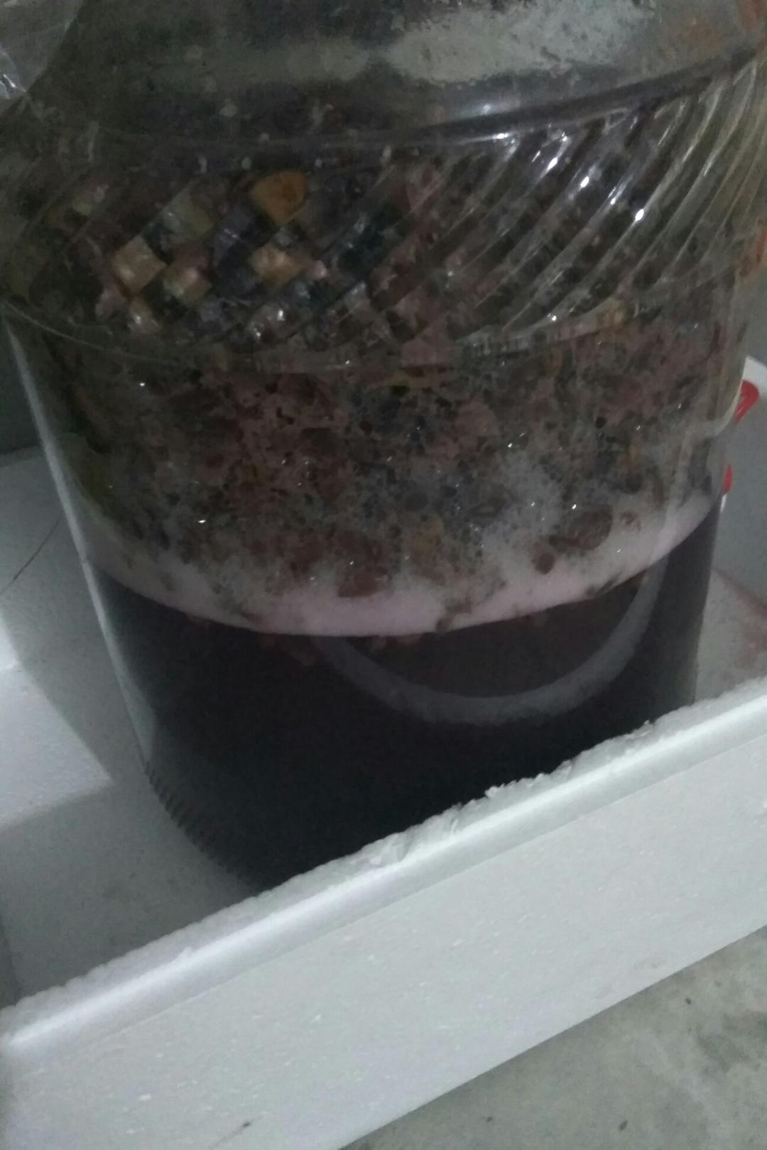 自制葡萄酒