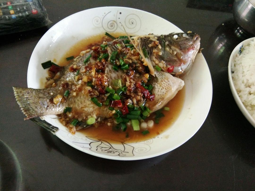 清蒸罗非鱼