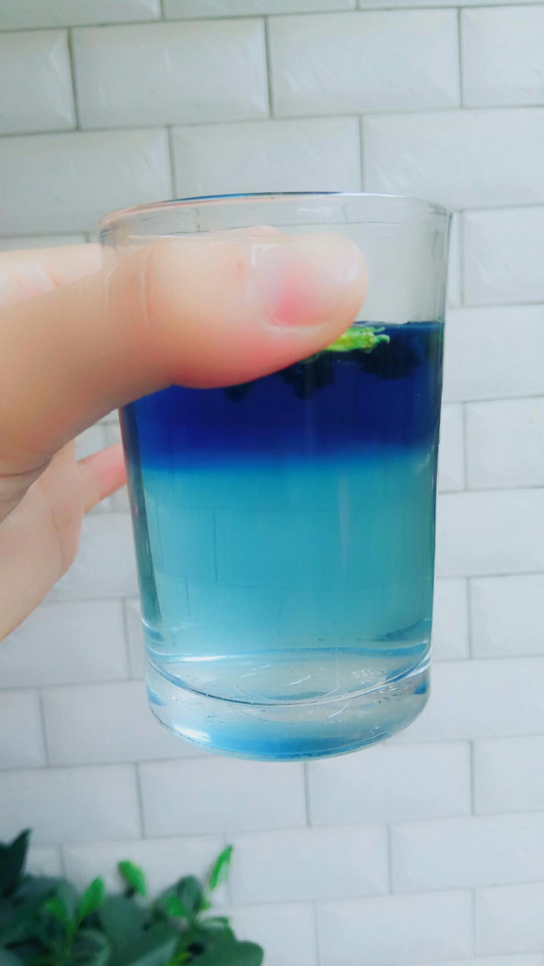 蝶豆花茶分层