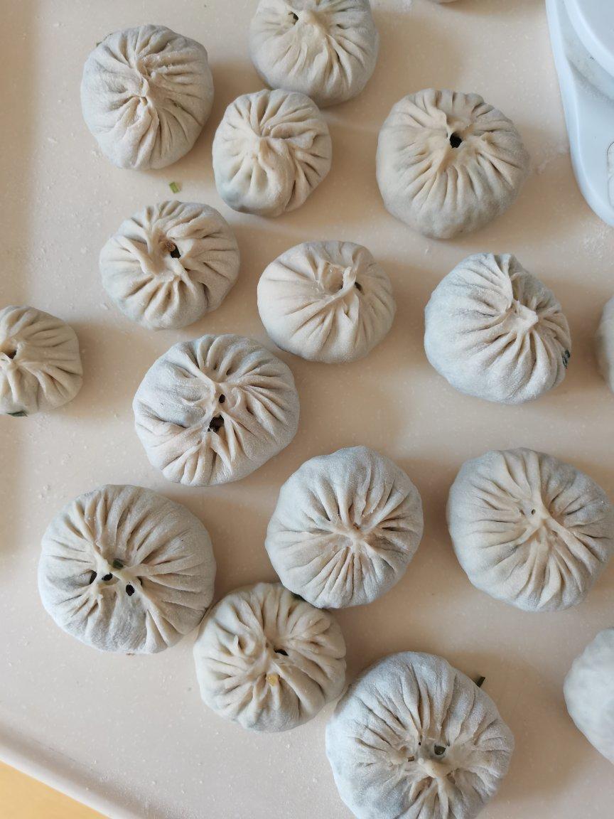 张公子1230做的纸皮包子丨胡萝卜豆腐馅韭菜粉条肉馅