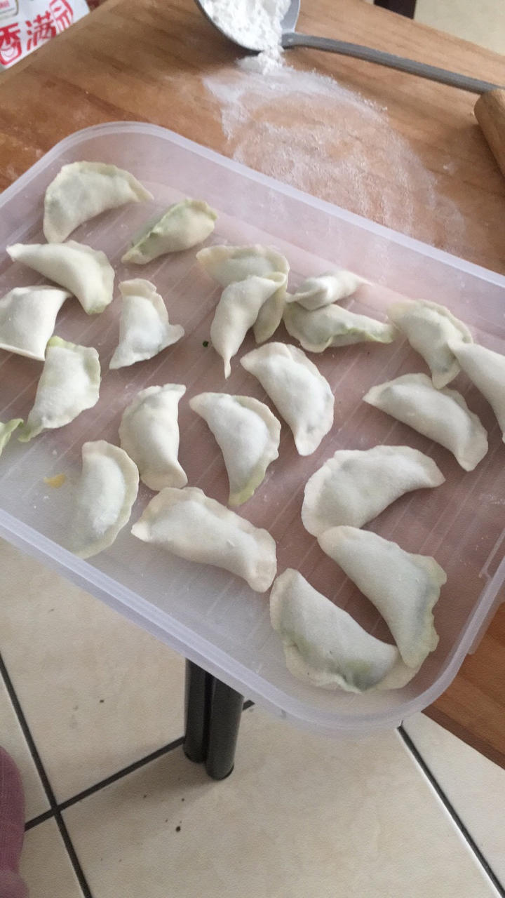 韭菜鸡蛋饺子