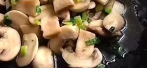 各种蘑菇的封面