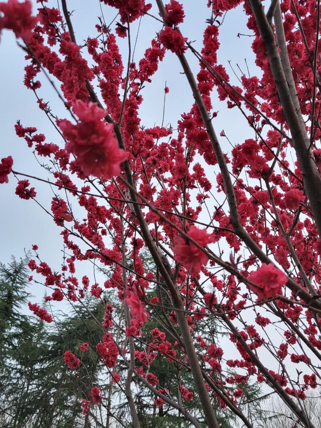 点滴