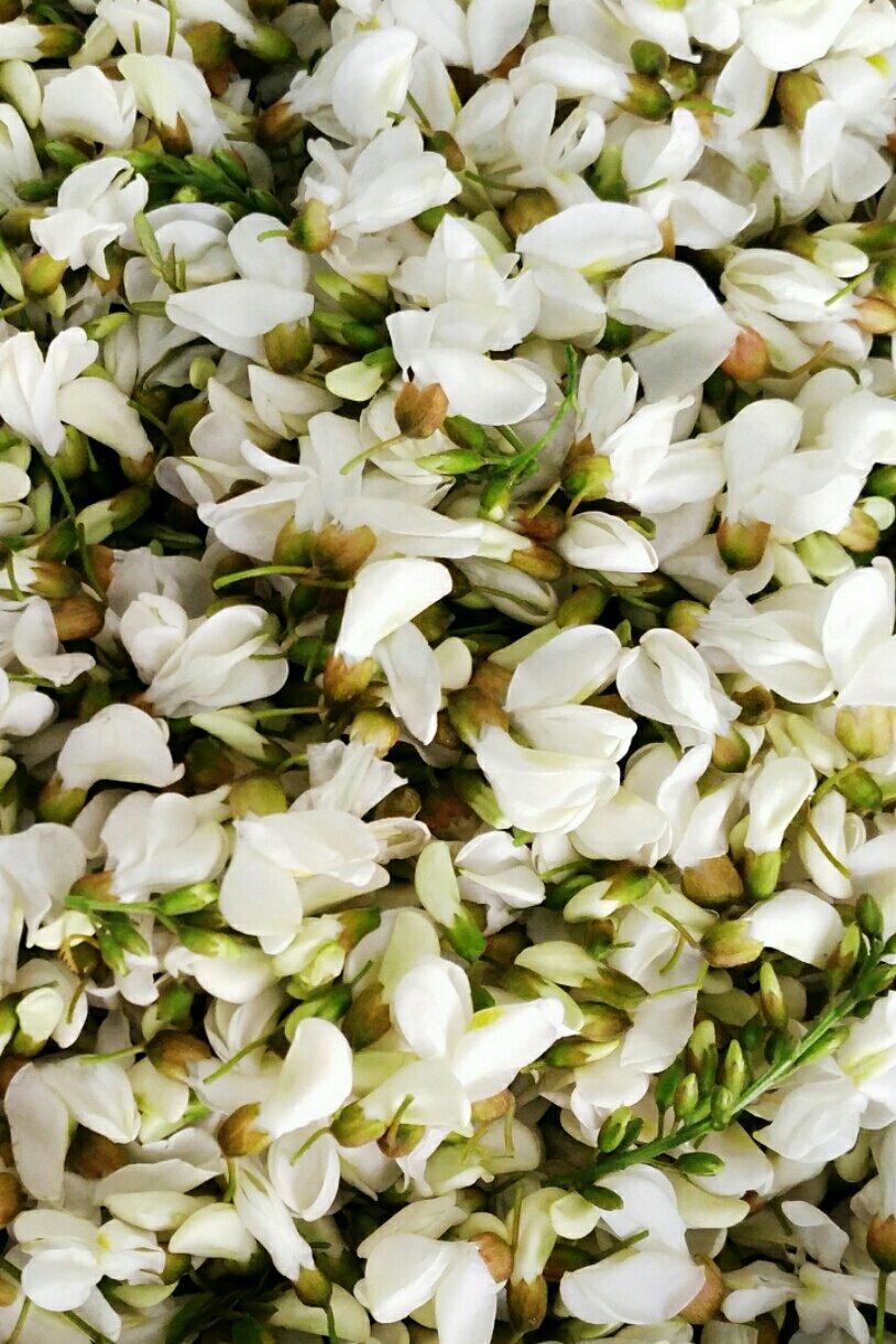 槐花炒鸡蛋