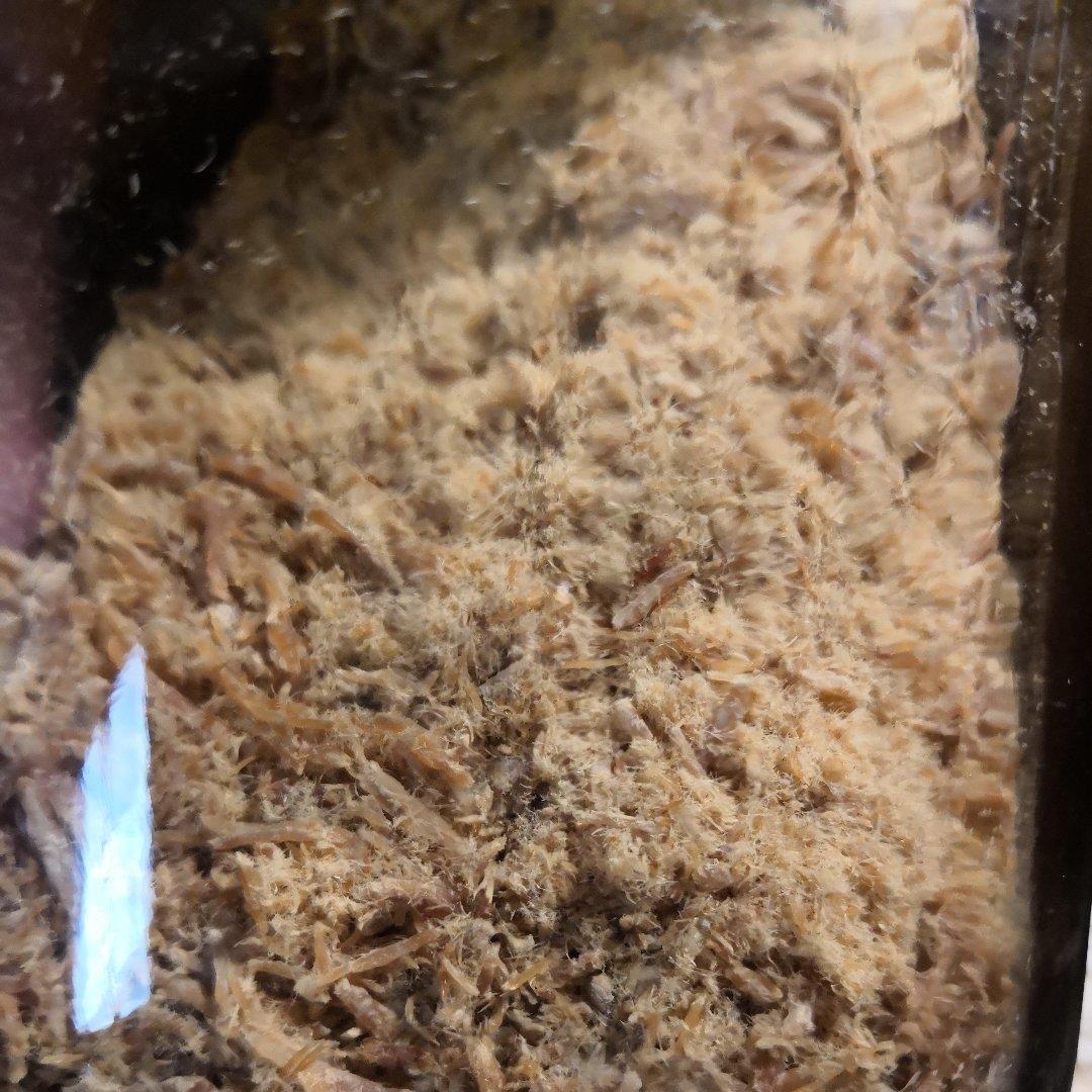 自制肉松（厨师机、烤箱版)