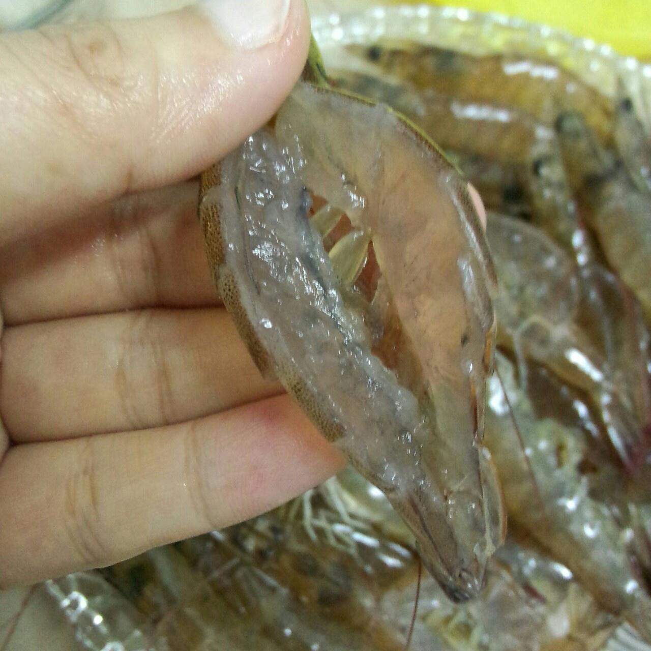 蒜蓉粉丝烤基围虾的做法 步骤2