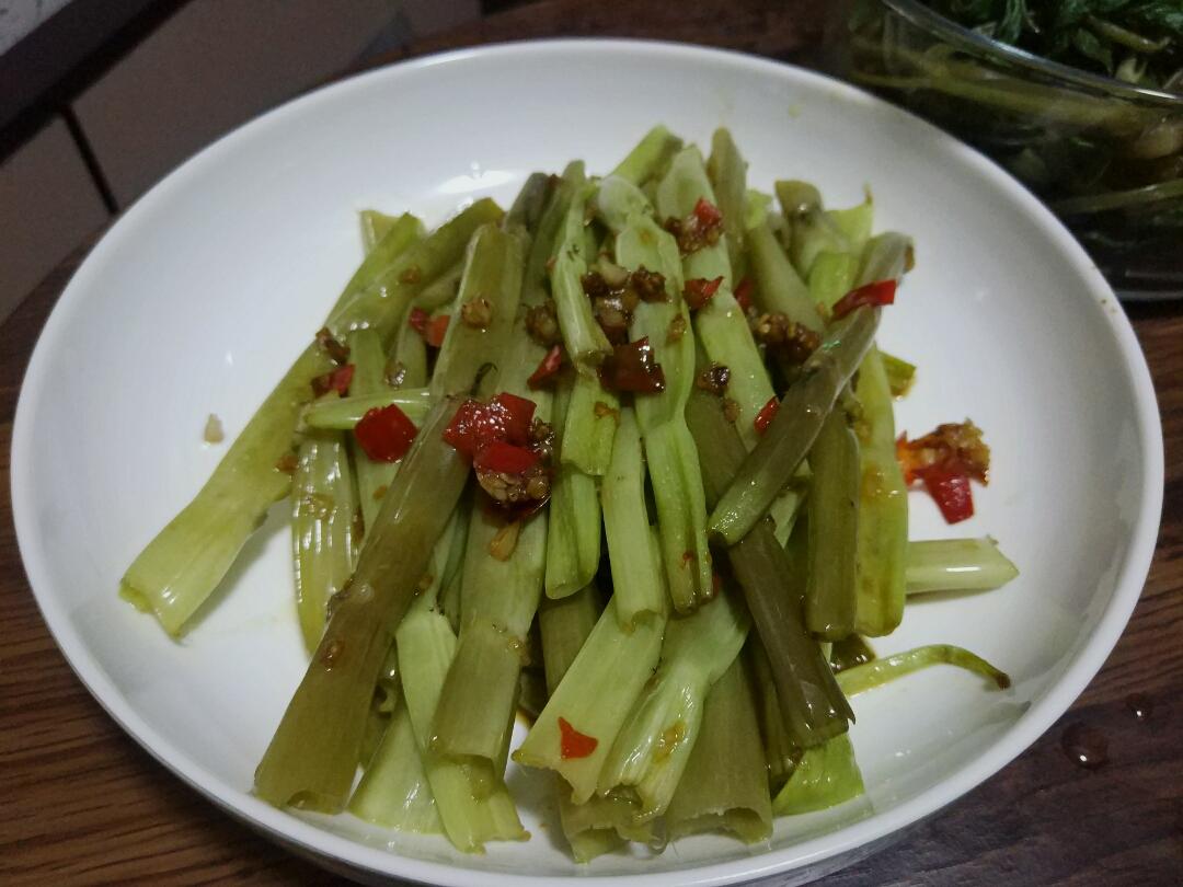 啫通菜