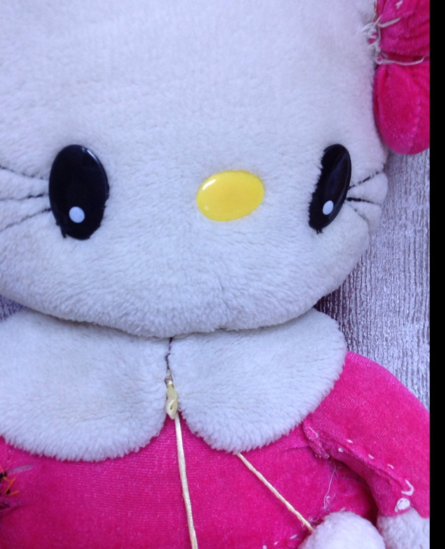 回胧教凯蒂猫护法