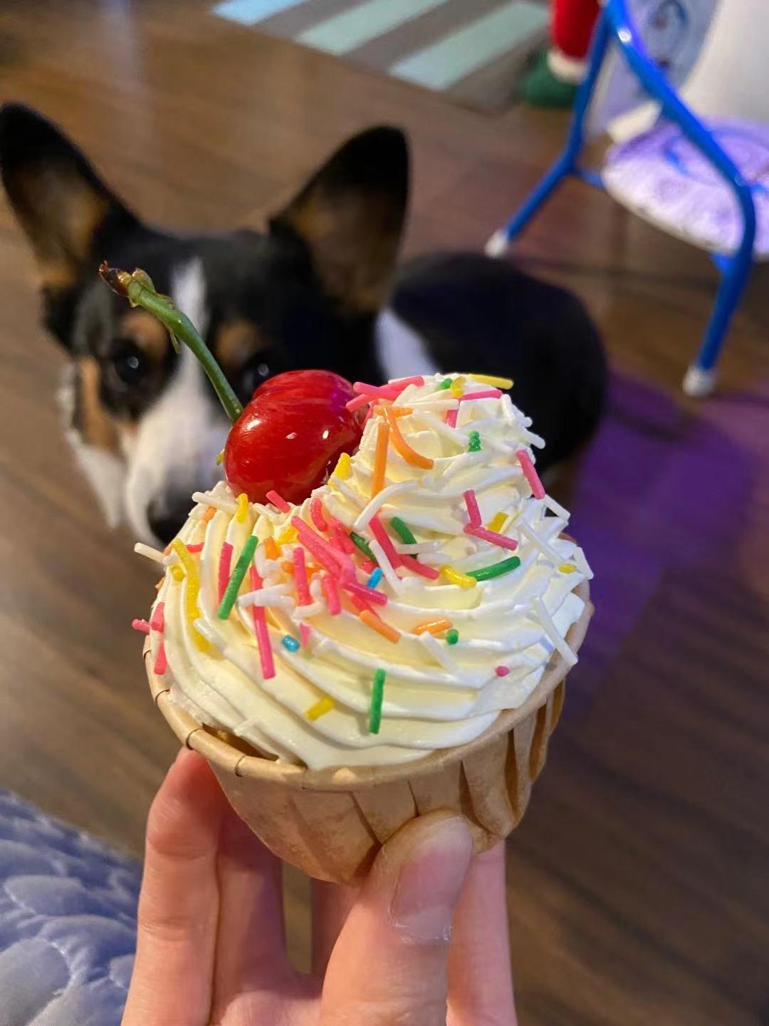 纸杯蛋糕，绝对不塌不裂，百分百成功四段式烘烤方法，不私藏无保留