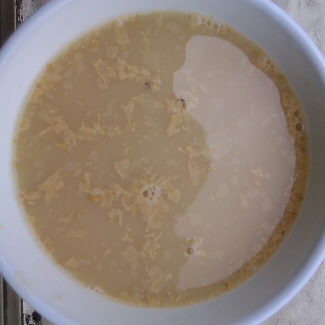 枸杞红枣豆浆