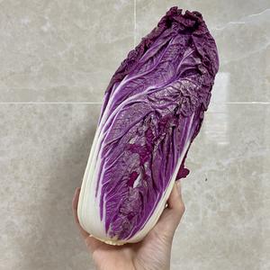 乾隆（紫）白菜的做法 步骤1
