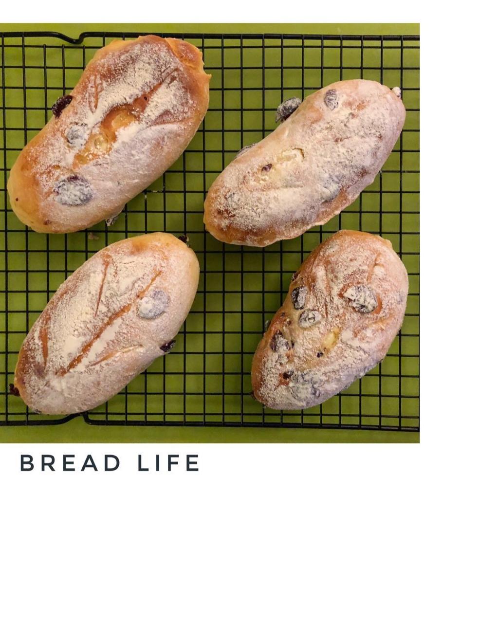 奶酪馅儿蔓越莓面包