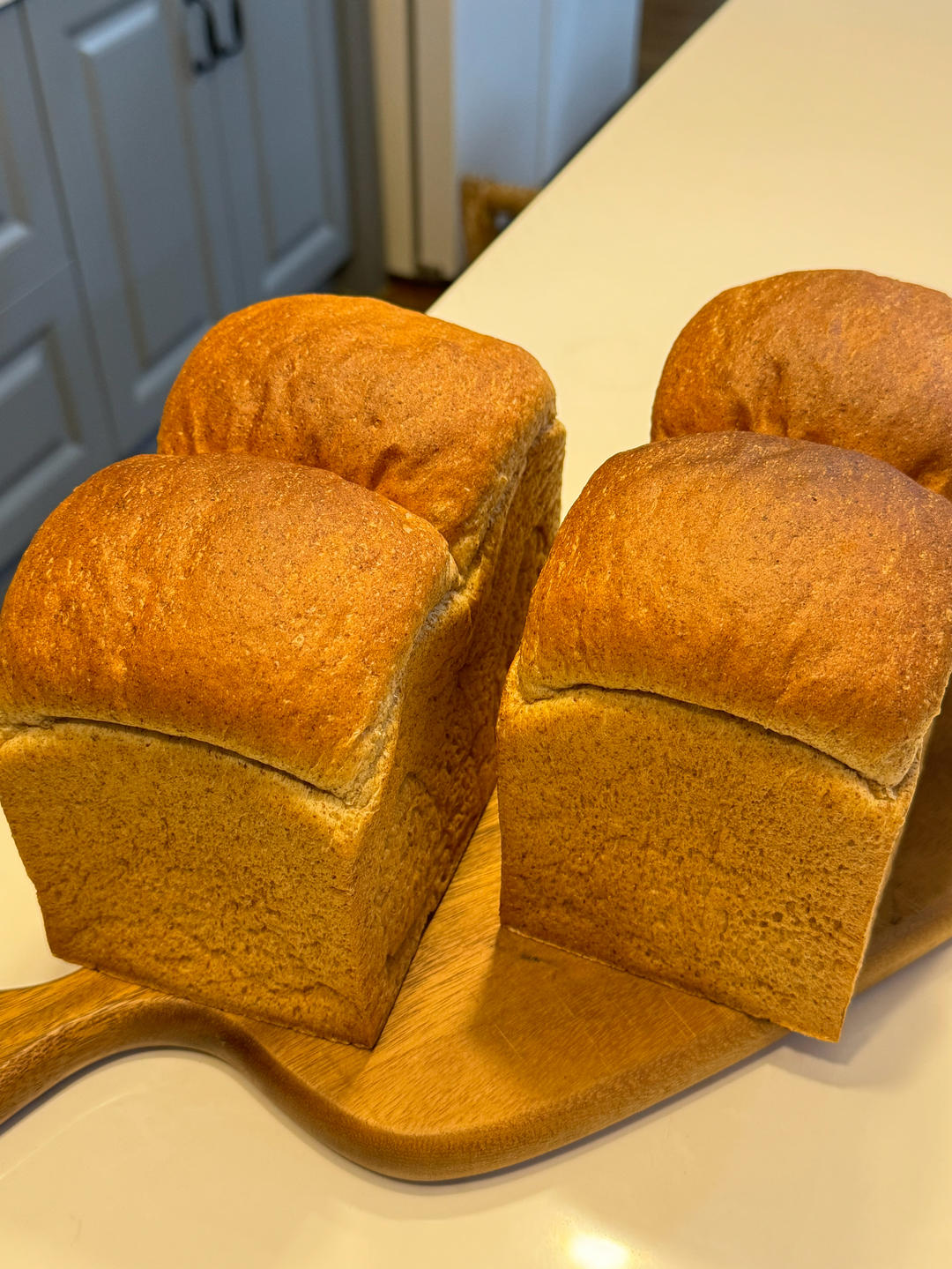 黑全麦波兰种吐司，这么柔软简直怀疑你是个假全麦！