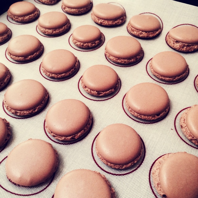 最容易成功的chocolate macarons 巧克力马卡龙