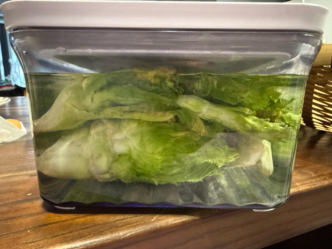 清密爽口菜蒂头（儿菜）