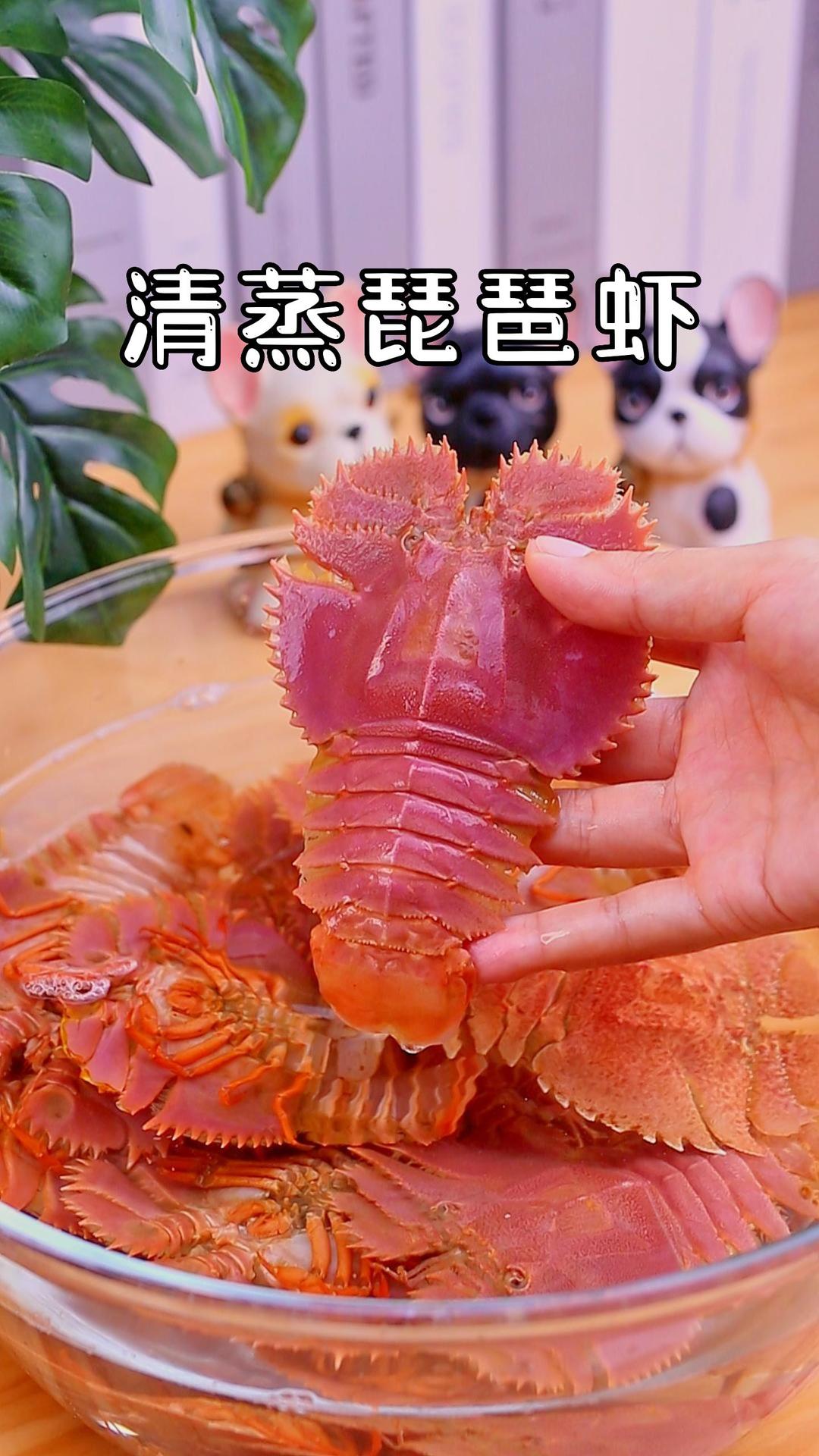 肉质紧实有弹性 非常鲜甜可口的【清蒸琵琶虾】