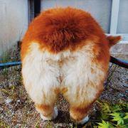 兜圈圈的文斤斤