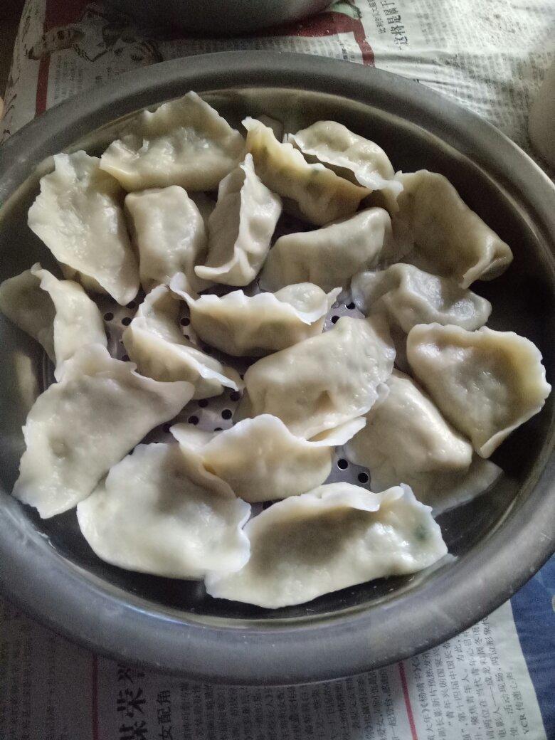 韭菜猪肉水饺