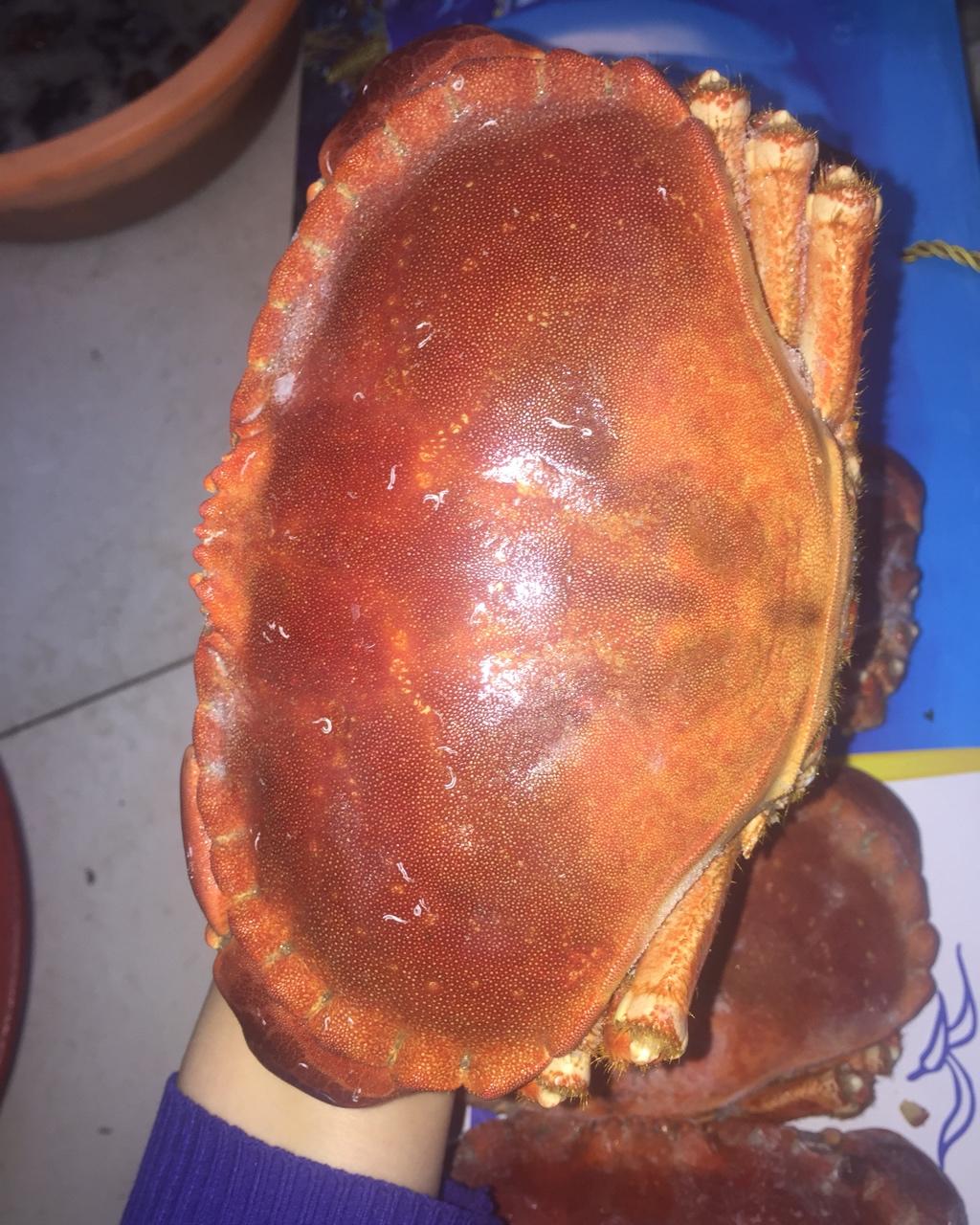 雨后晨曦_lmav做的清蒸面包蟹