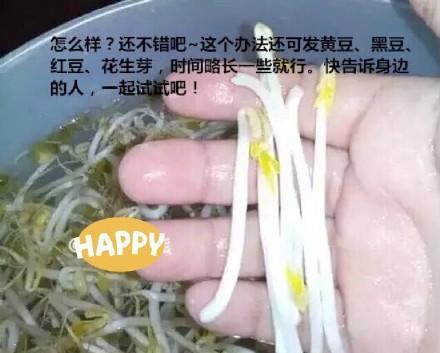 自制健康无毒的懒人版纯绿色豆芽（0失败）4天就可以吃到喽的做法