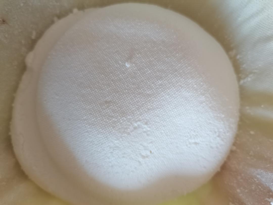 自制乳酪（10块钱出193克乳酪）