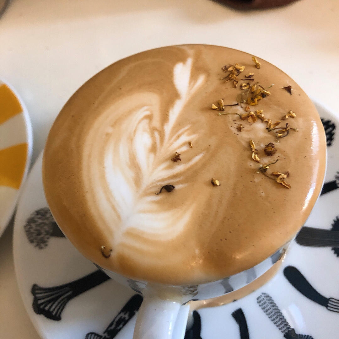 💙☕️还没上轨道的拉花之路☕️💙