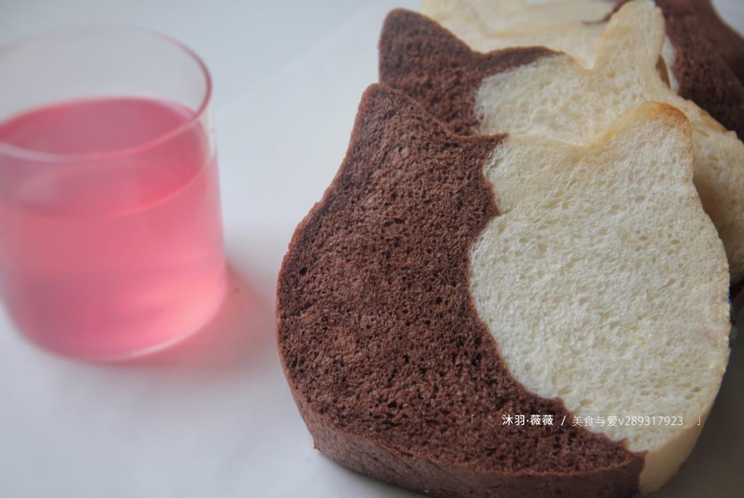 网红大猫猫头面包