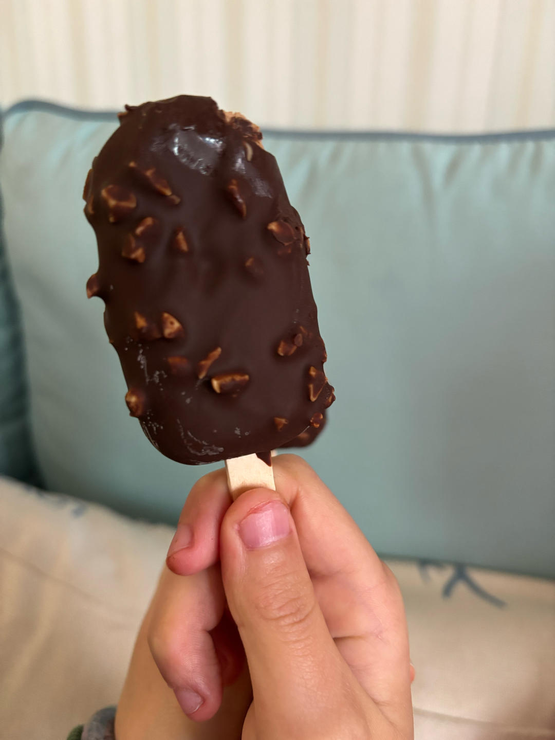 巧克力脆皮冰淇淋/细腻顺滑/味道浓郁