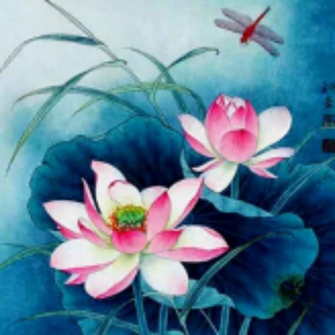 浮生辉影