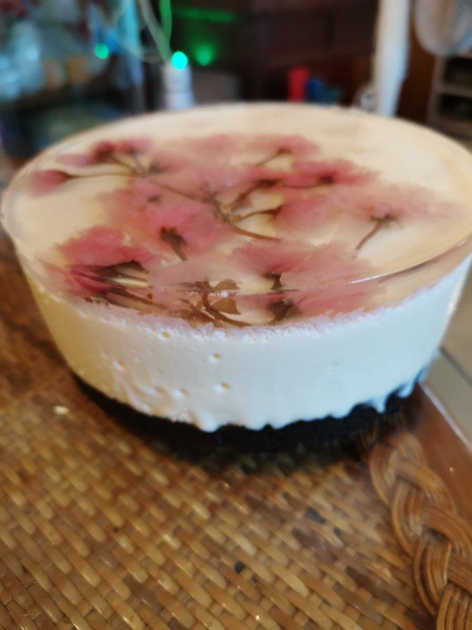 【樱花镜面蛋糕×樱花泡芙】