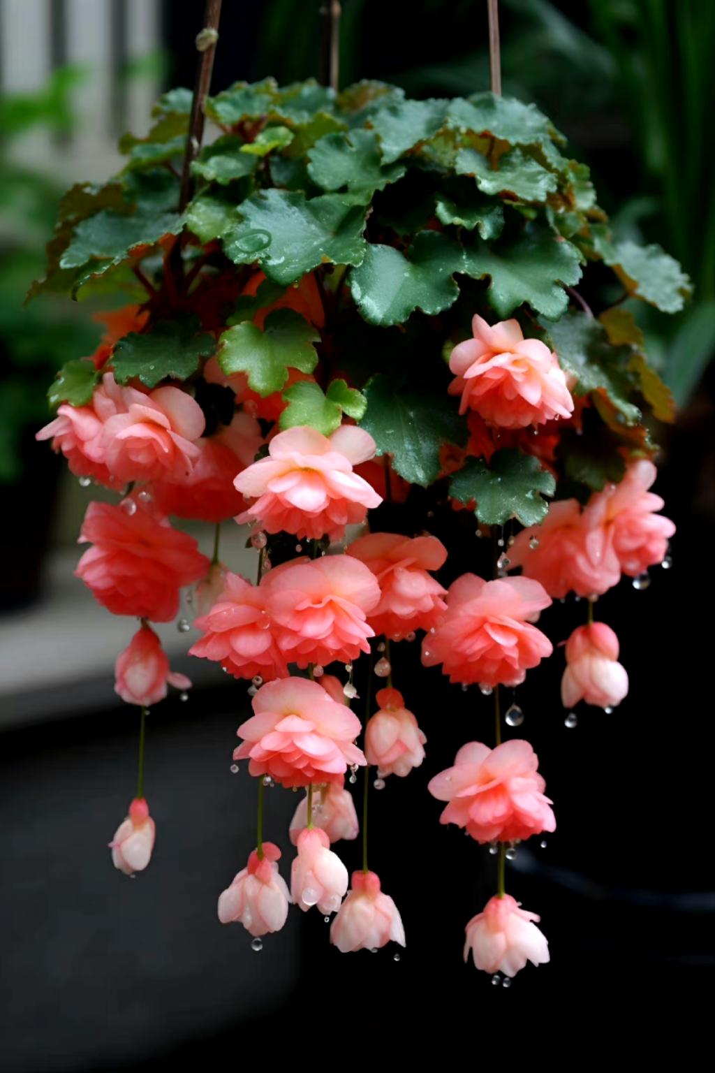 下厨房用户_7szg