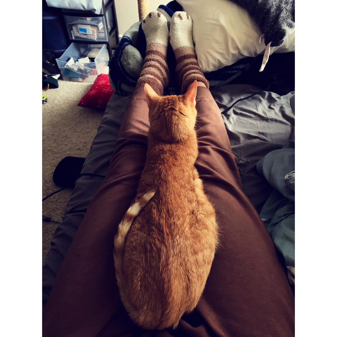 艾里克斯小天使