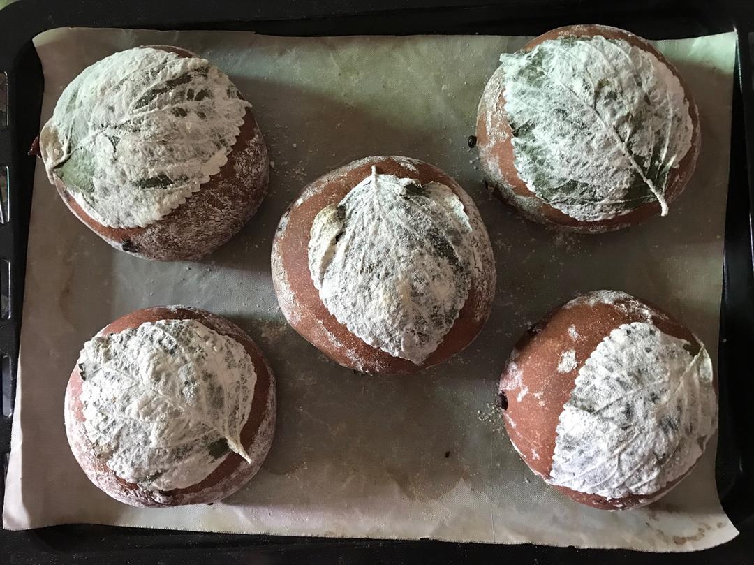 巧克力蔓越莓软欧 Rano Bread