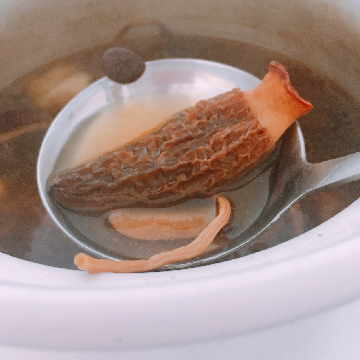 茶树菇羊肚菌扇骨鸡汤的做法