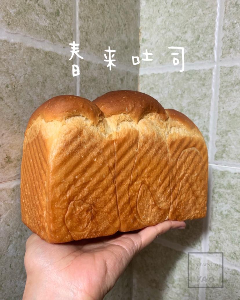春来吐司