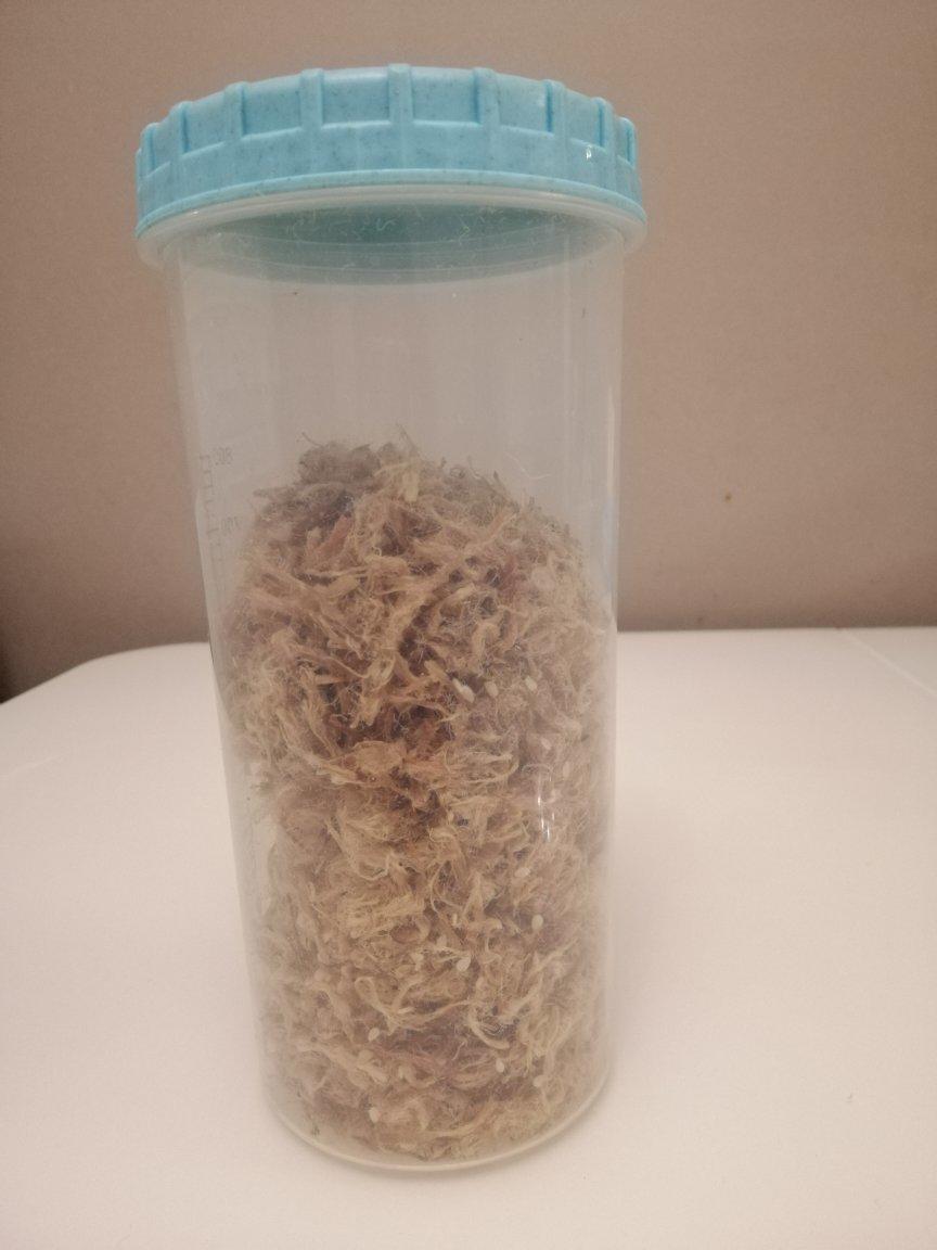 面包机做猪肉松