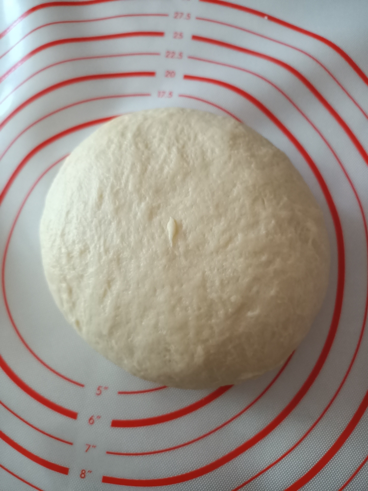 波兰种吐司面包🍞一次发酵的做法 步骤4