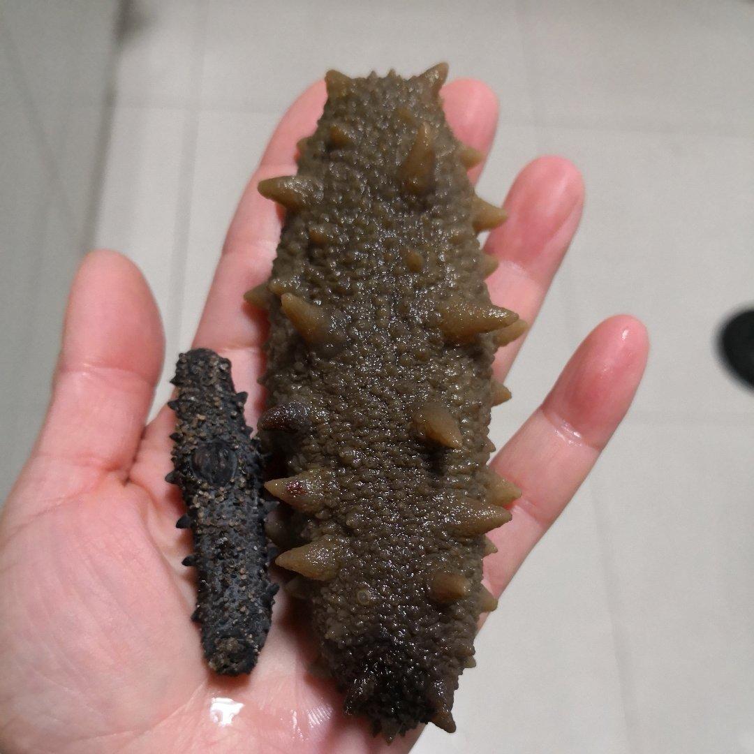 海参泡发攻略