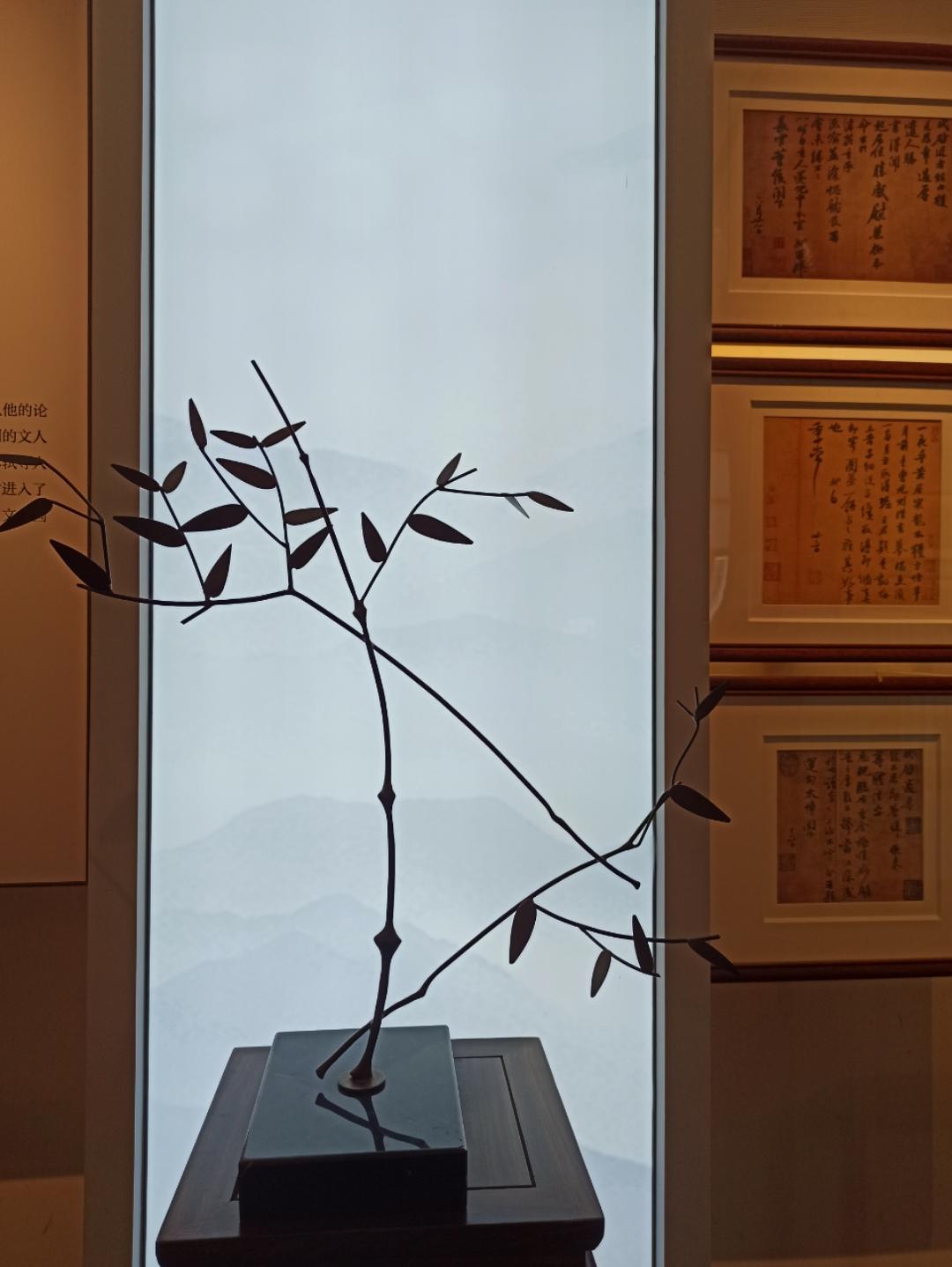 愿洛