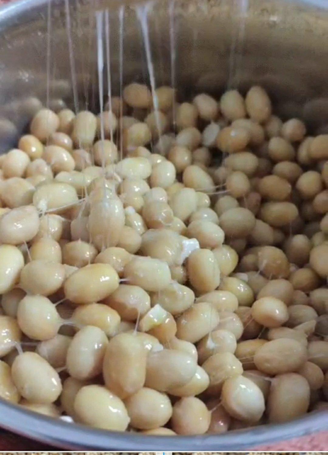 自制纳豆（酸奶机，面包机，烤箱版）