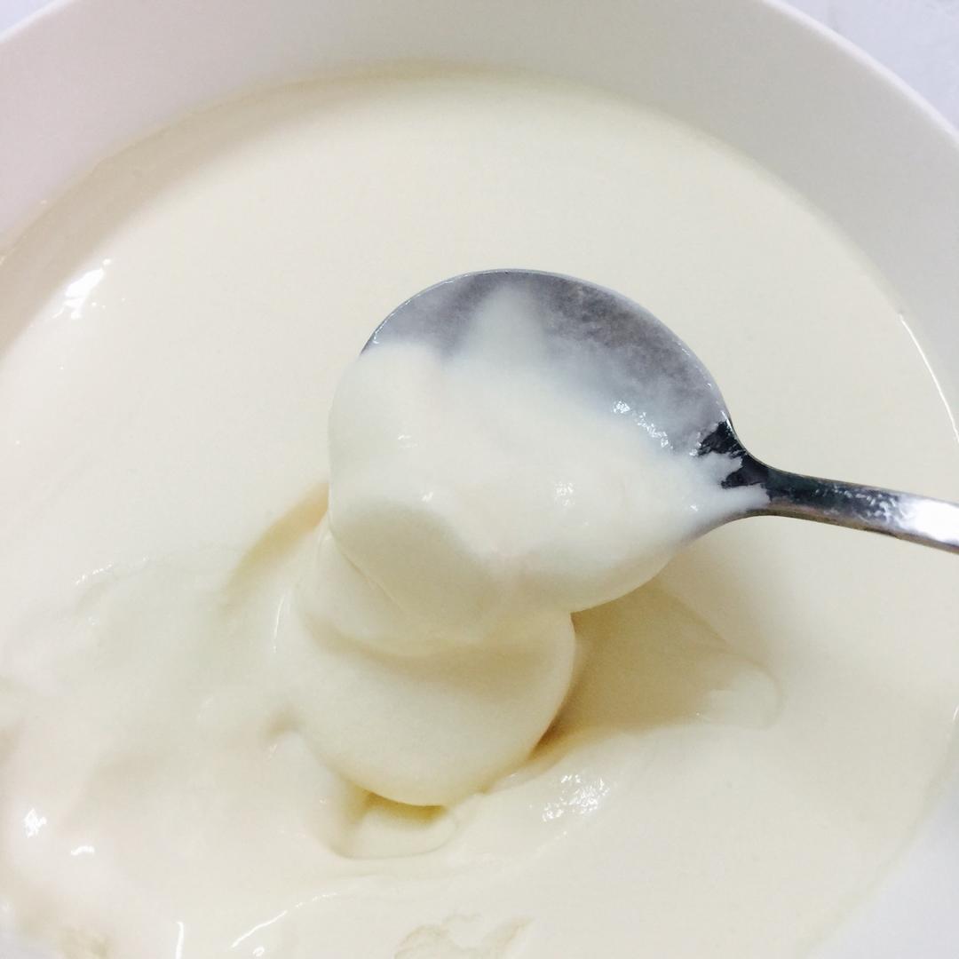 田田小姑娘做的电饭煲制酸奶