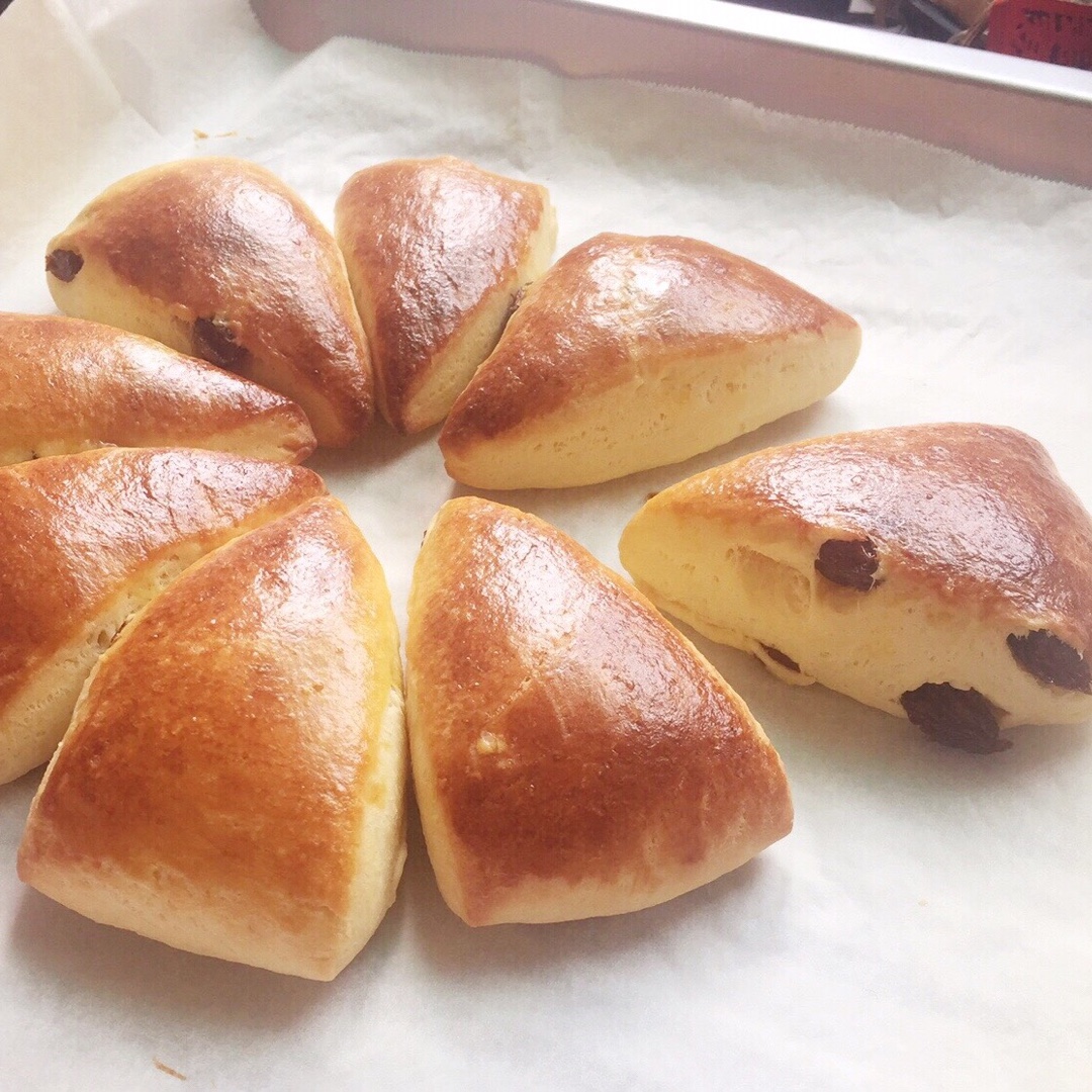 葡萄干司康（酵母版）