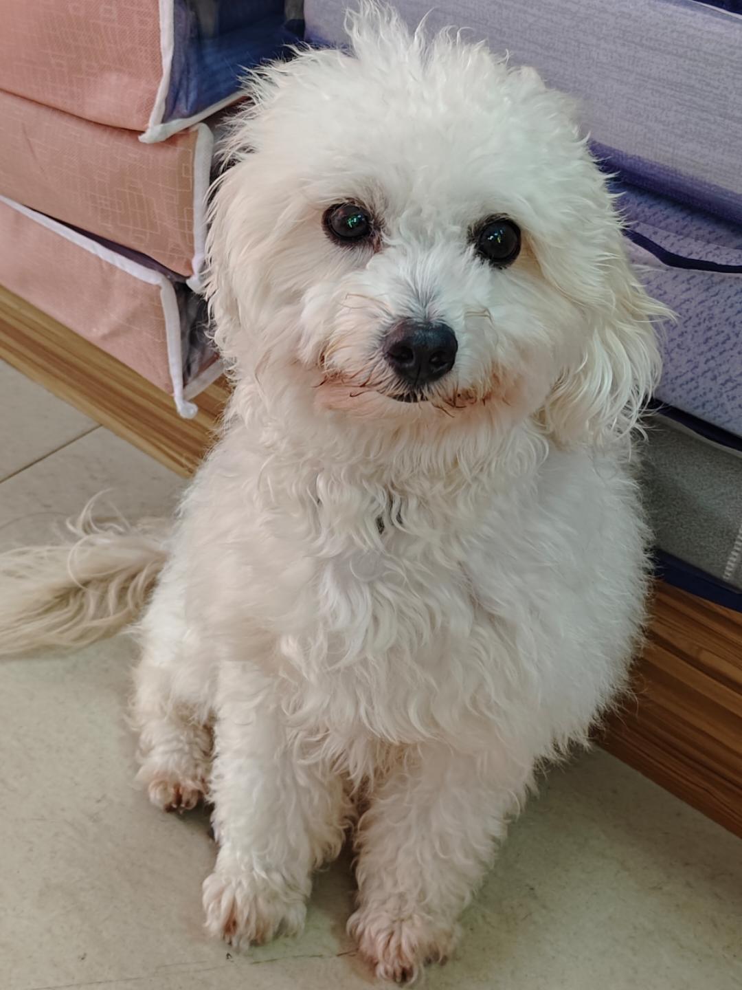 下厨房用户_w6i8b