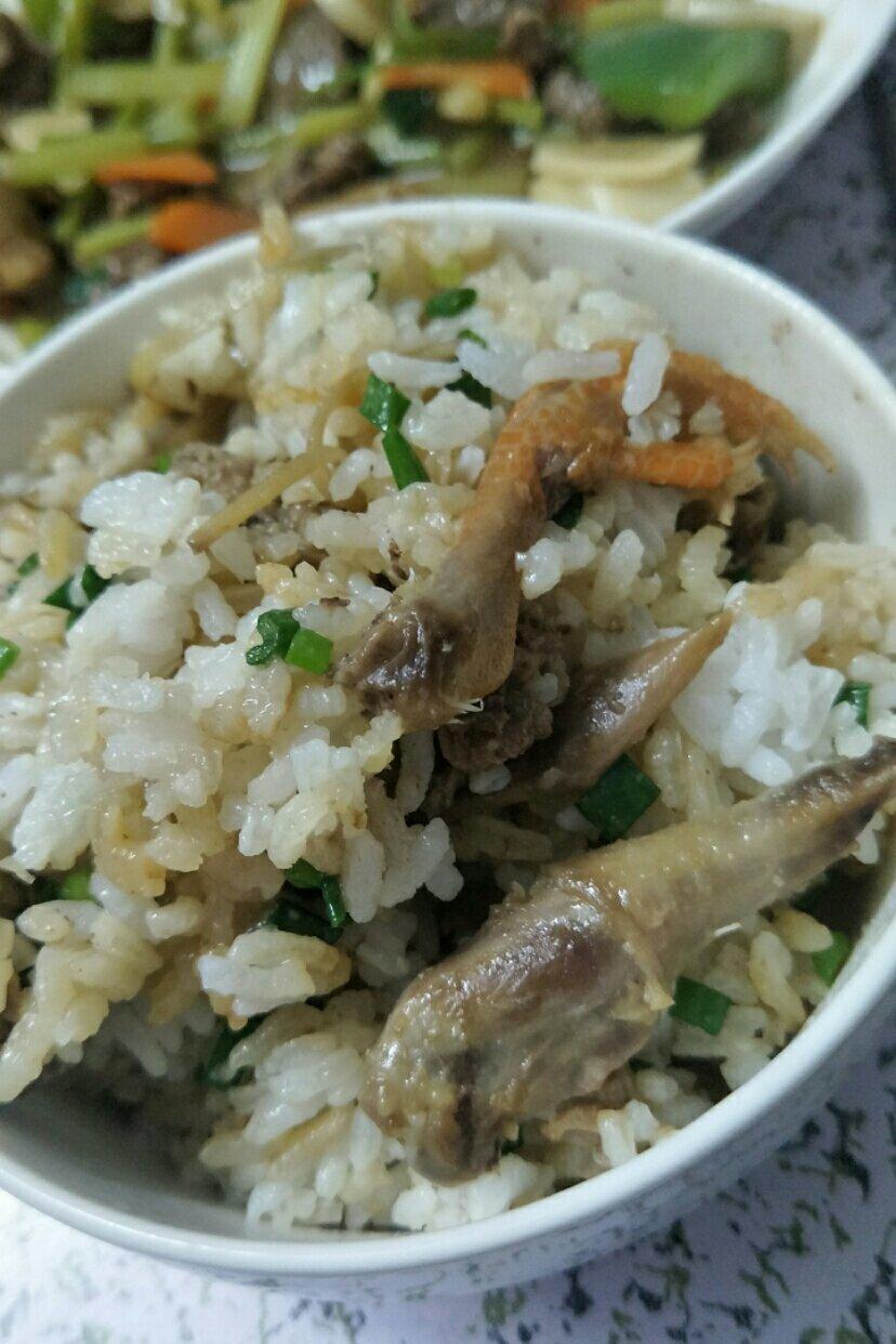 白鸽饭