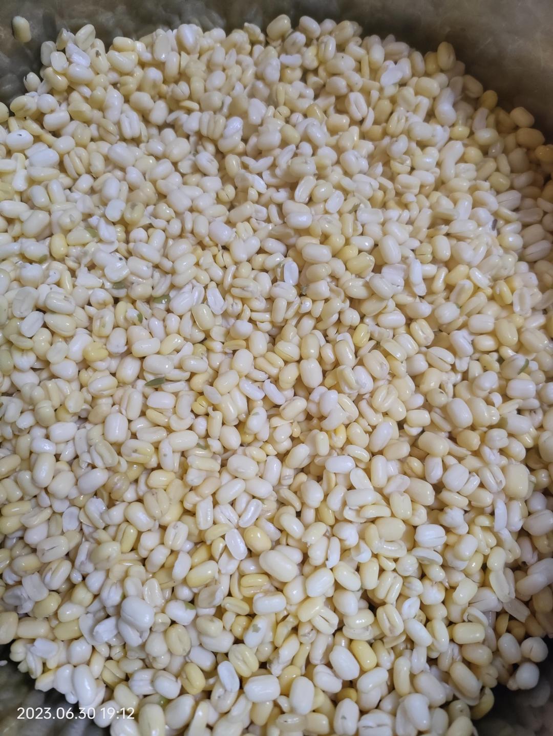 懒汉免炒绿豆沙(绿豆糕)