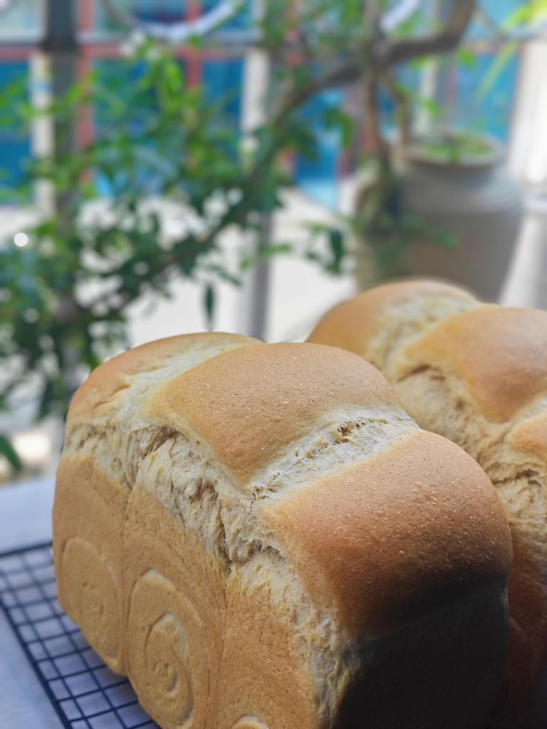 全麦吐司软到下腰🔥会发光❗这个配方绝了