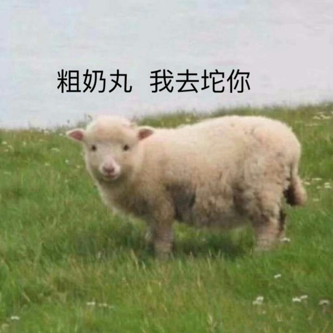 十茯里