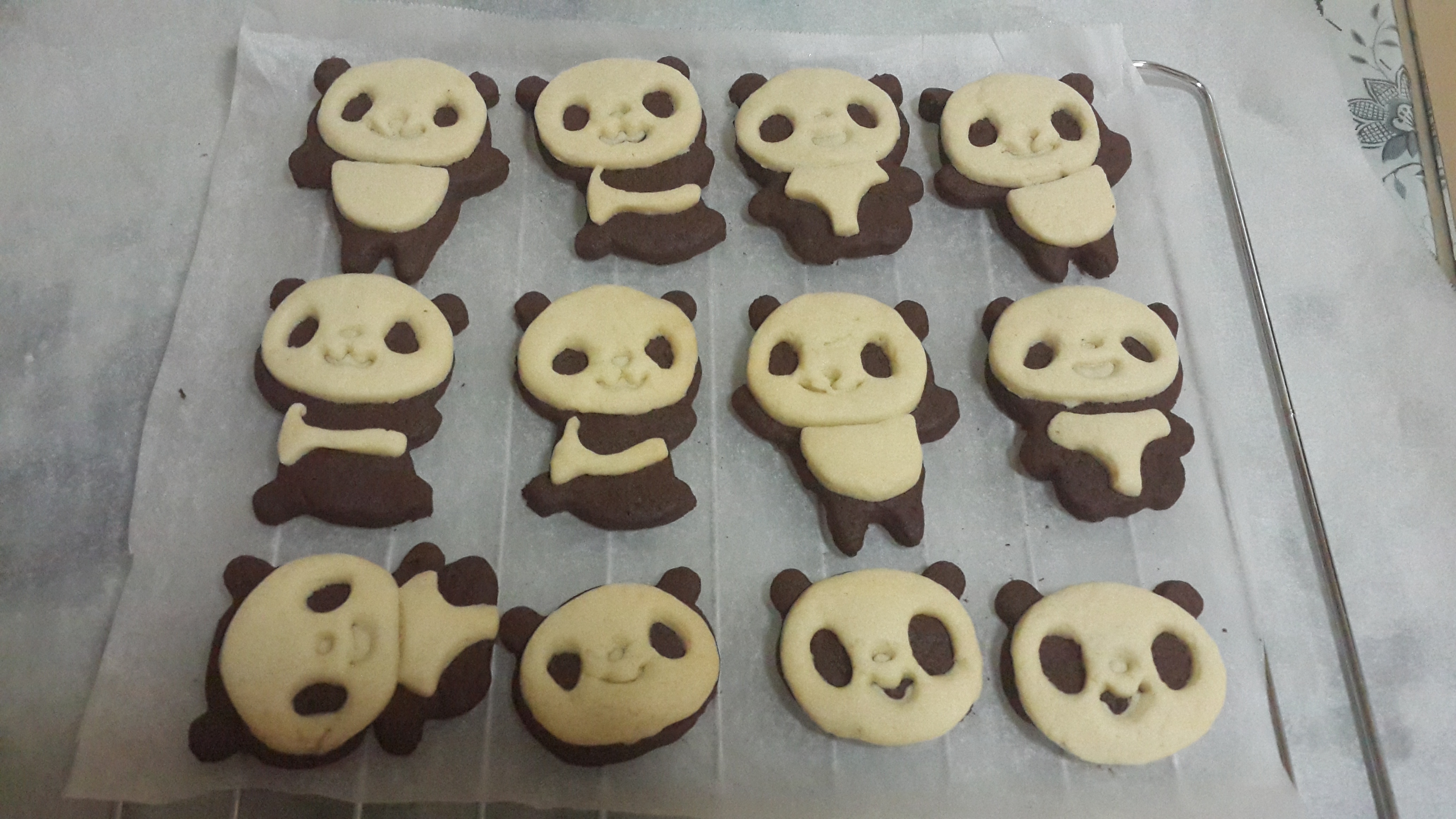 小熊猫饼干